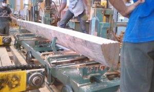 wood processing